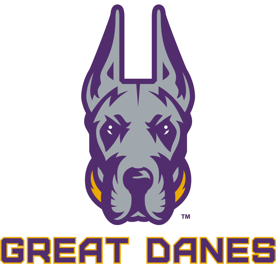 Albany Great Danes 2020-Pres Alternate Logo v6 iron on transfers for T-shirts